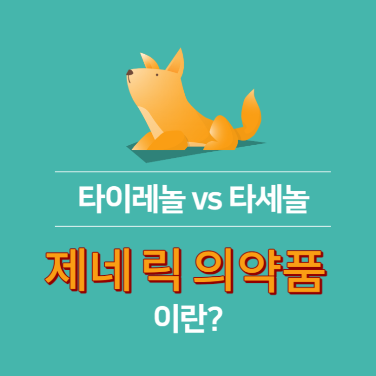  타이레놀과 타세놀의 차이점? 제네릭의약품이란?아세트아미노펜