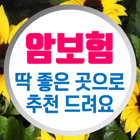  노인암보험 추천 부모님께 적합한 60세 암보험 가입조건을 알아보세요.