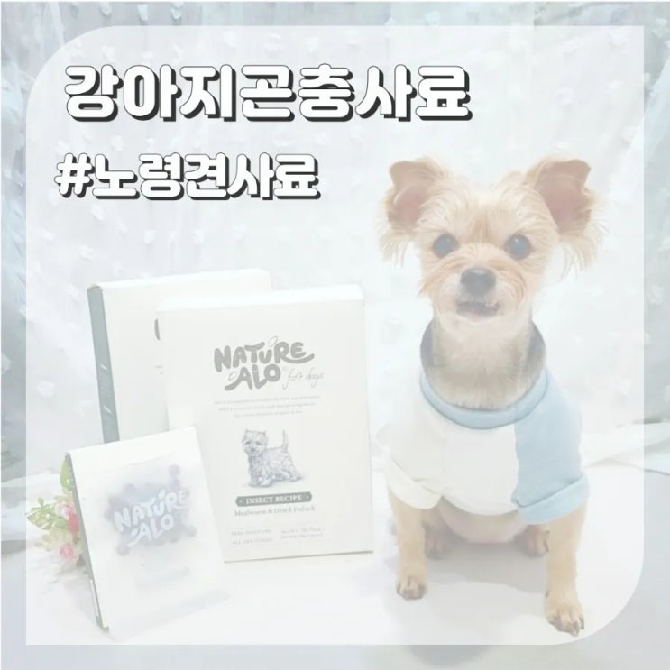  강아지 곤충사료 반습식 네이처알로 노령견 사료 추천이유
