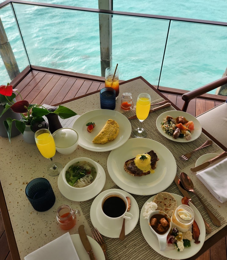  [몰디브 여행] Mimosa, Snorkel & Champagne Day 2 (조식, 스노클링, 몰디비안 디너 Ritz-Carlton Maldives)