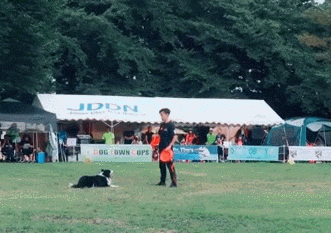  똑소원 블로그 이웃 500명 이벤트
