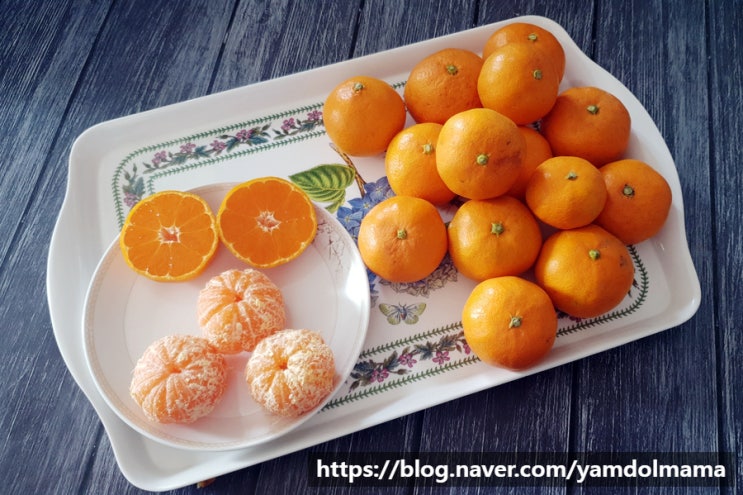  맛있는 귤 추천 청년감귤 고당도 제주 감귤 겨울철 간식으로 굿
