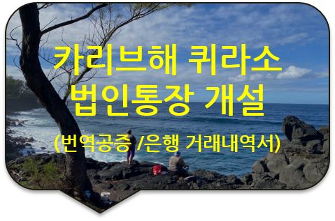 중앙아메리카 카리브해 '퀴라소' 공화국 법인통장 계좌 개설을 위한, '신한은행 입출금 거래내역서' 번역공증