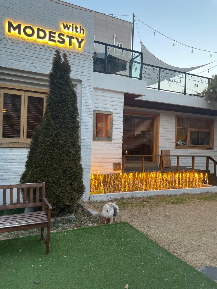  대구 위드모데스티 애견동반 황금동 공간대여 카페