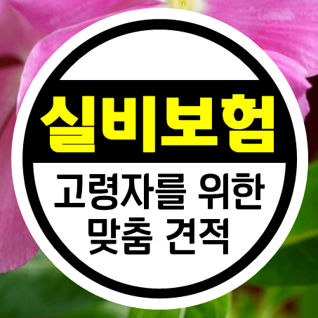  60세 실비보험 가입 및 노인을 위한 70세실손보험 추천 해드려요.