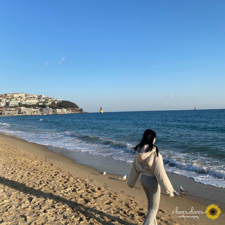  [부산여행] 해동용궁사 / 해운대해수욕장 / 광안리해수욕장 / 광안리에어비엔비 / 민락어민활어직판장 부산 둘쨋날 ̎