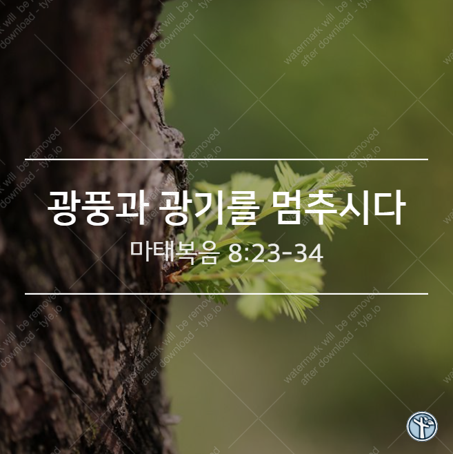  광풍과 광기를 멈추시다 / 마8:23-24