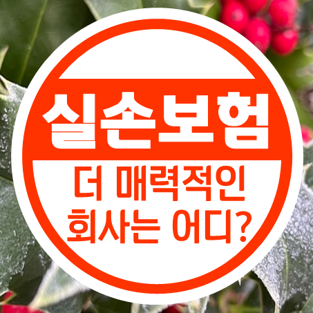  노후실손보험 추천 좀 더 괜찮은 고령자실손보험 회사는 어디일까?