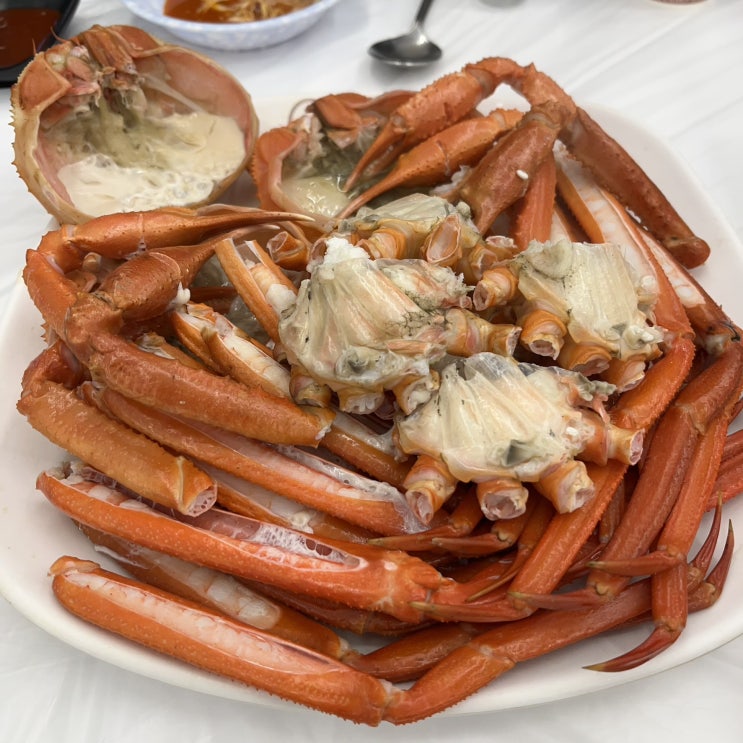  [속초-좋다게] 속초 친절보스 사장님이 계신 대게, 홍게 맛집 !!! / 강력추천 후기