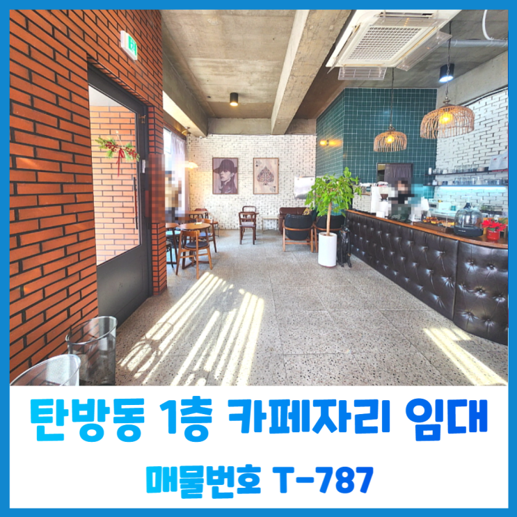  탄방동 초등학교 인근 유동인구 많은 1층 상가 카페 임대