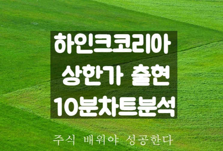  하인크코리아 주가 전망 및 상한가 매수 방법