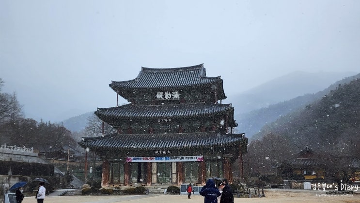  견훤 유폐지 모악산 금산사 미륵전, 전북 김제 가볼만한곳 겨울 눈내리는날 당일치기 여행