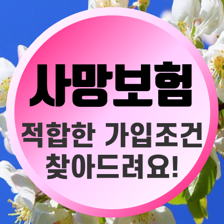  사망보험추천 정기 및 종신 사망보험가입 조건 중 나에게 맞는 쪽은?