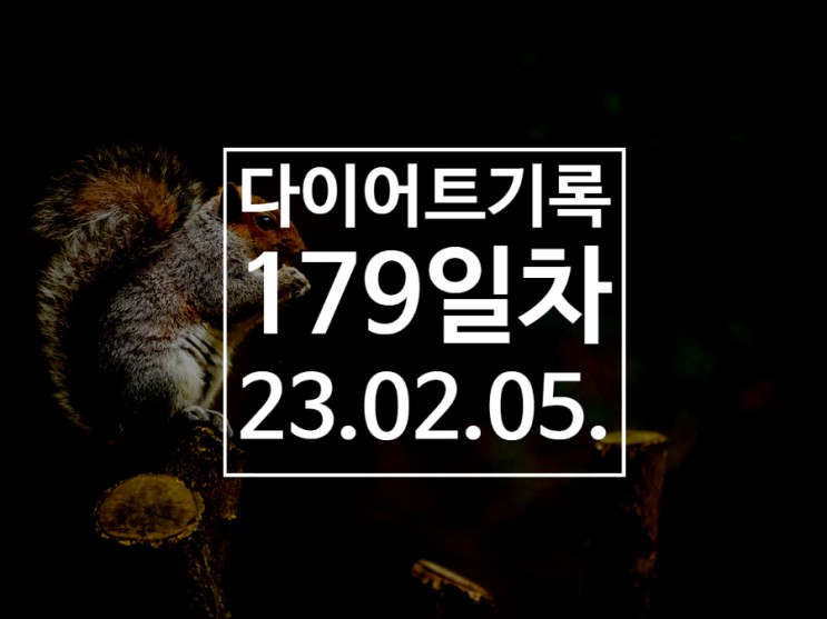 [다이어트기록DAY179] 다람쥐 뇸뇸 / 왕오달 40번