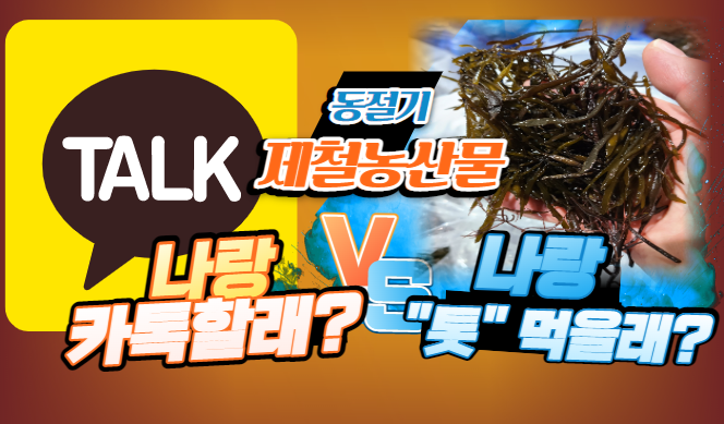  [경매사 추천 농산물] 나랑 카톡할래? 나랑 "톳" 먹을래?