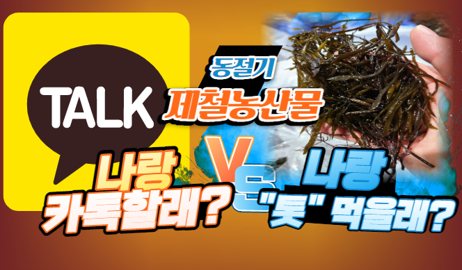 [경매사 추천 농산물] 나랑 카톡할래? 나랑 "톳" 먹을래?