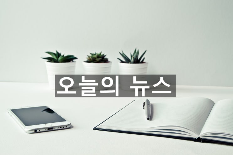  경매 법정으로 몰리는 아파트 실 구매자