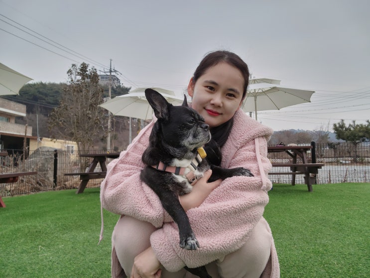  별이랑 태안 여행왔어요