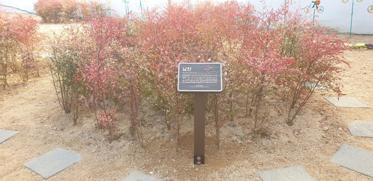 (주)제이스디자인 형남초등학교 식물안내 (2022)