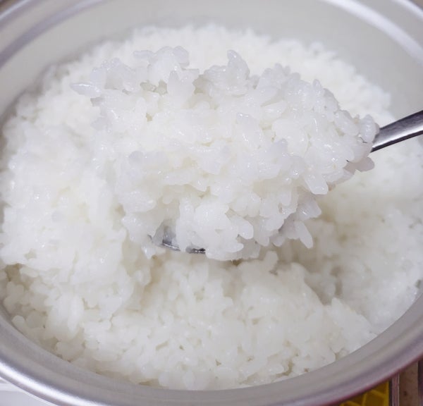  캠핑 버너로 실패 없는 냄비(코펠) 밥 짓기