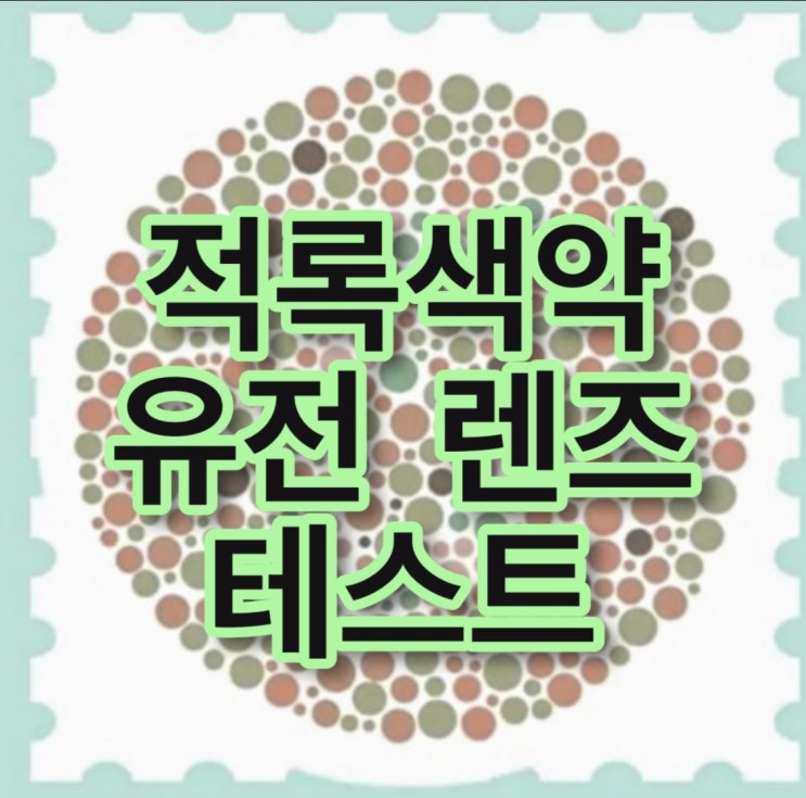  적록색약 유전 렌즈 테스트 적록색약이 보는 세상, 색약 색맹 차이