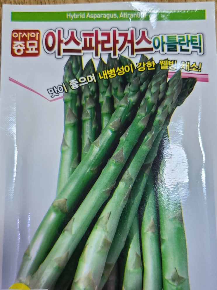  [무료나눔] 아스파라거스 그린 씨앗 나눔