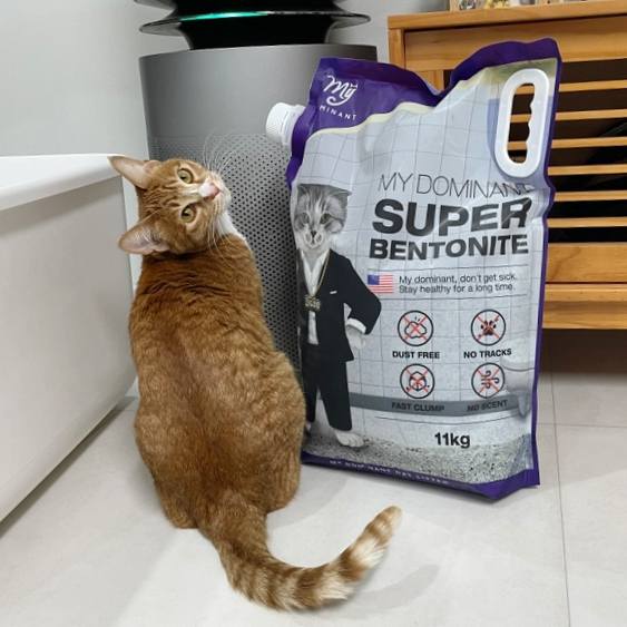  고양이 벤토나이트 모래 마이도미넌트 지구