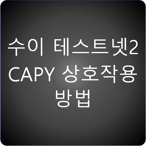 수이(Sui) 테스트넷2 - CAPY 상호작용 방법