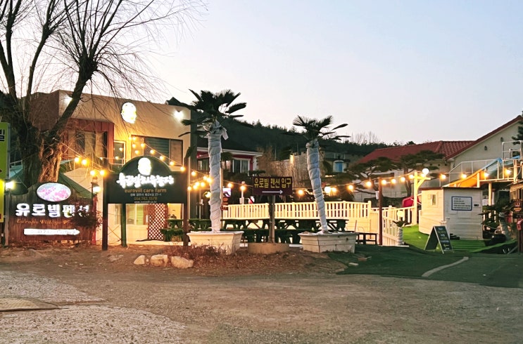 경주펜션추천 농장 체험도 함께 할 수 있는 유로빌펜션 가보세요