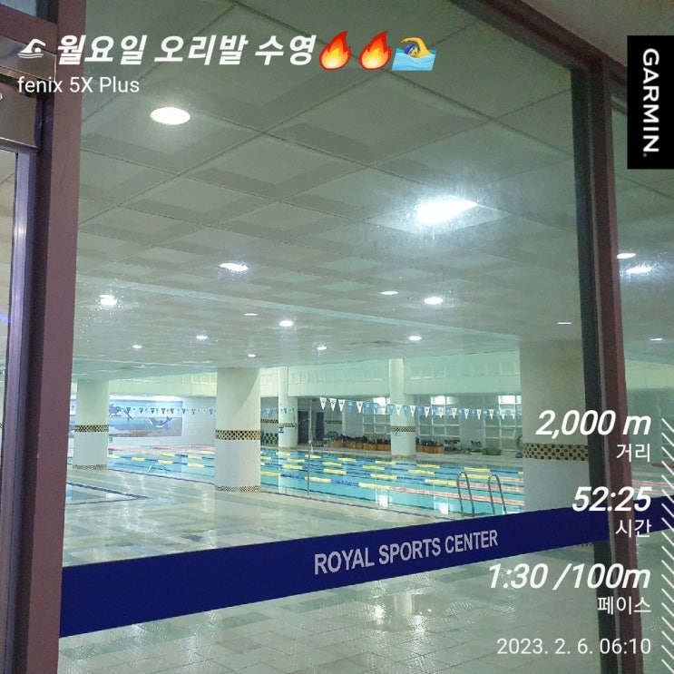  [수영일기] 2월 6일 오리발 수영은 힘들어!