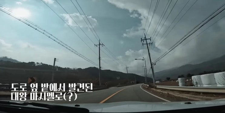 밭에서 마시멜로를 발견한 트와이스