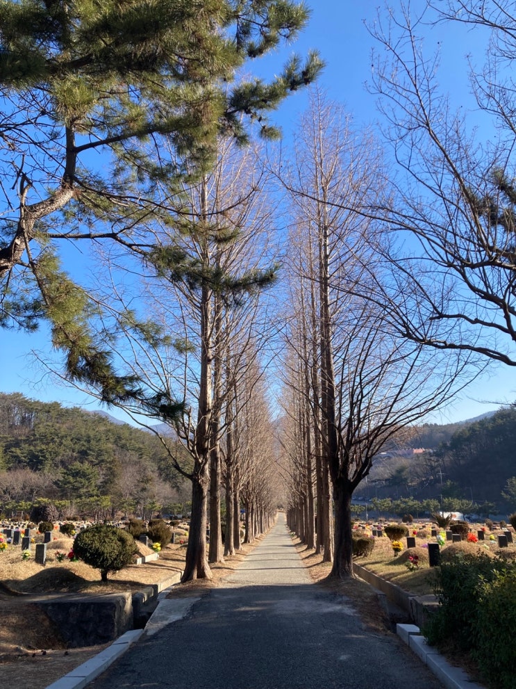  부산 영락공원의 부모님을 뵙고 왔다 -