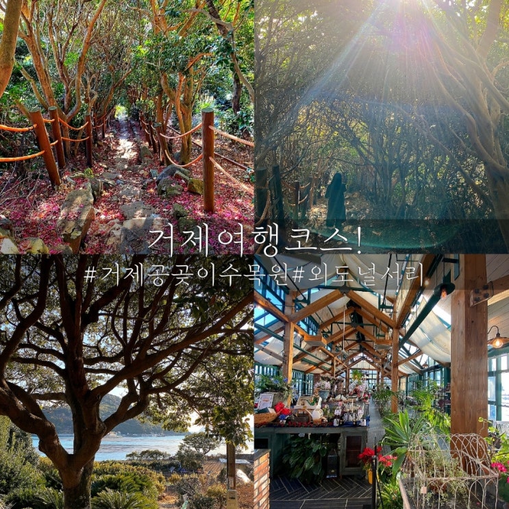  거제여행 코스 거제공곶이수목원 산책 후 외도널서리 커피 한잔!