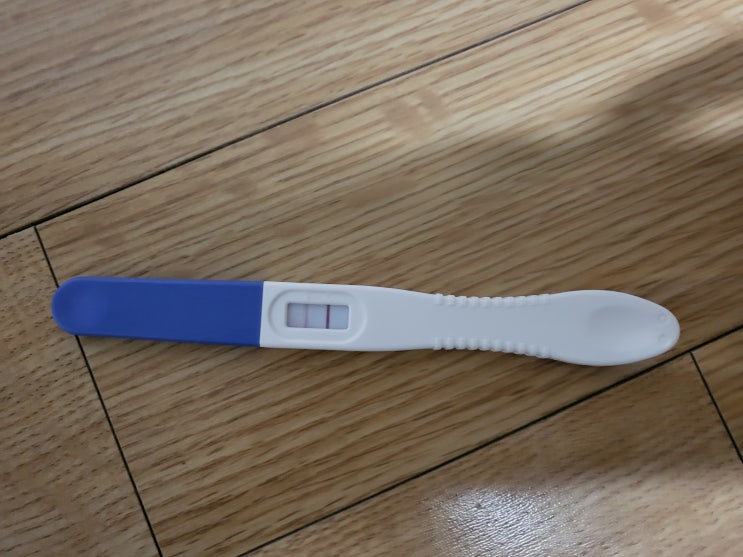  [임신]임밍아웃 아닌 화유