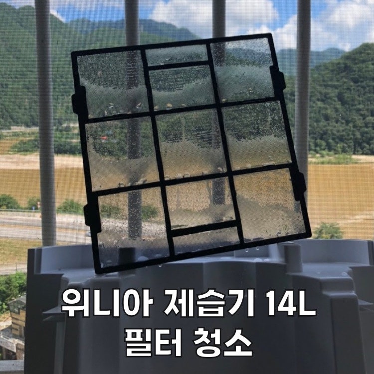 여름철 습도만 조절해도 에어컨 작동 횟수 DOWN!! / 위니아 제습기 14L / 필터청소