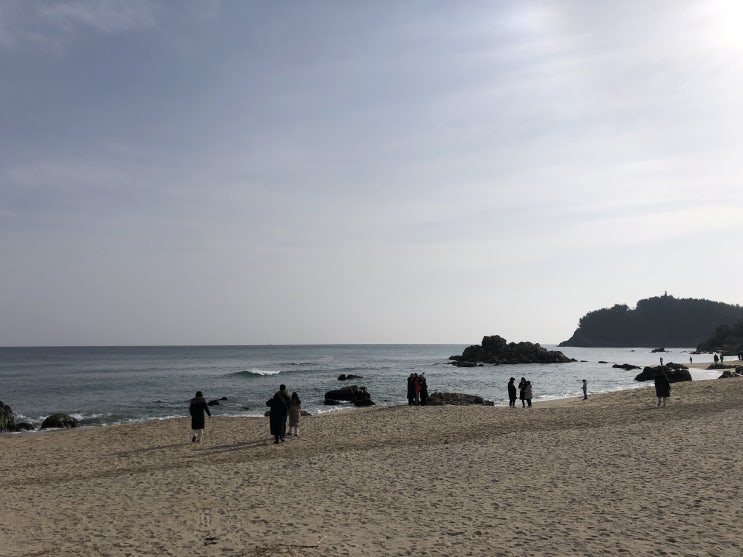  설연휴에 다녀온 쏠비치양양 리조트 패밀리 후기