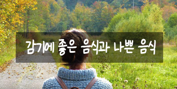  감기에 좋은 음식과 나쁜 음식