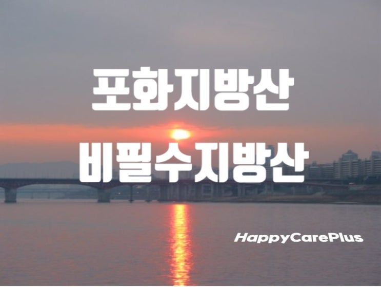  포화지방산(비필수지방산)