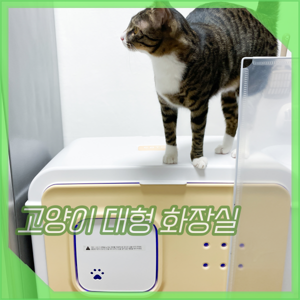 고양이 대형 자동화장실, 공기 청정과 살균, 실내용 캣토르