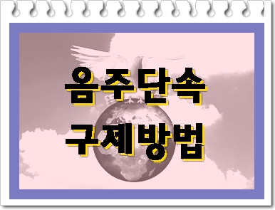  세종 음주운전 단속과 구제 행정사가 알려드립니다
