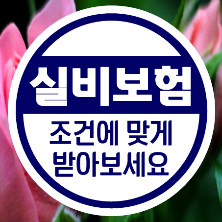 75세실비보험 가입 됩니다! 조건별 시니어실비보험 추천 받아보세요.