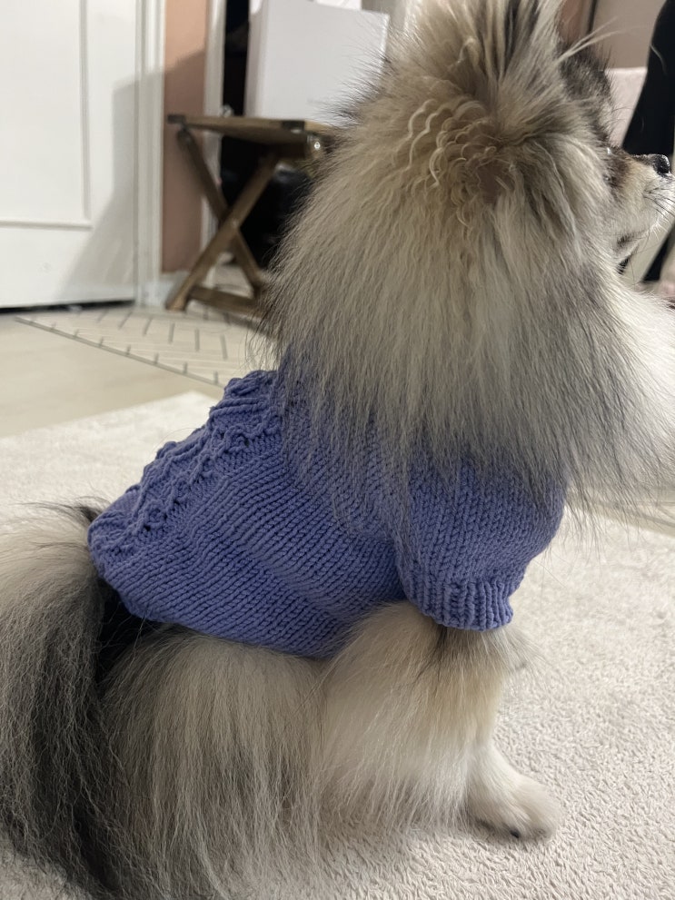  꾸꾸 옷 또 떴어요