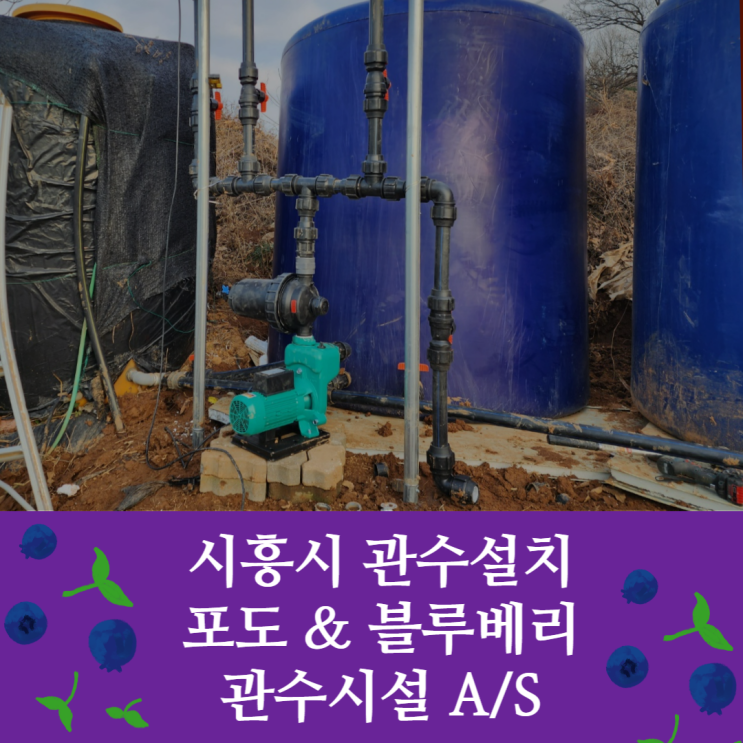  [시공 신우] 시흥시 비닐하우스 관수시설 A/S 후기 / 관수자재 / 비닐하우스 관수 / 농업 관수 / 물탱크 / 포도농장 관수 / 블루베리농장 관수 / 물탱크 / 농수관