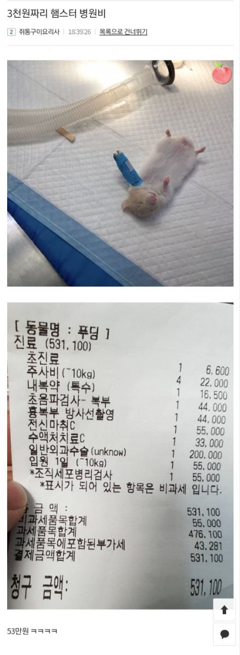  배보다 배꼽이 큰 경우