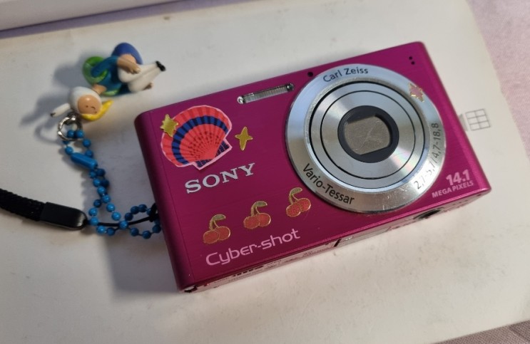 내 디카가 빈티지 카메라라고 불리기 시작했다. (소니 사이버샷 DSC-W320)