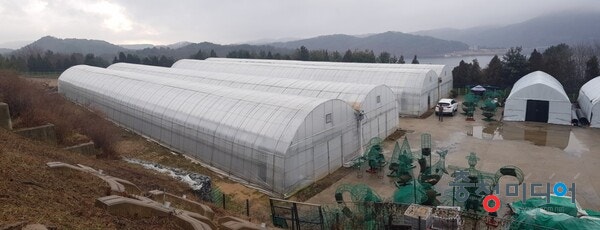  청남대 주차장 500면 추가 확보 … '사전 예약제' 없앤다청남대 주차장 500면 추가 확보 … '사전 예약제' 없앤다