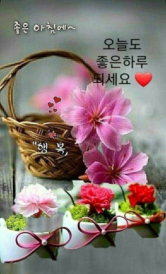 분당법무사 성별정정허가신청, 5