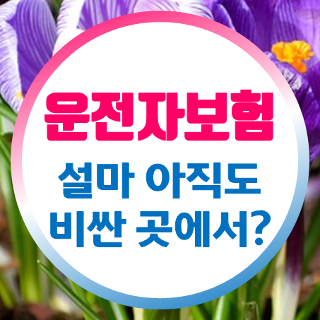  운전자보험 비용 얼마? 5천 원부터 시작하는 비갱신운전자보험 추천 드려요.