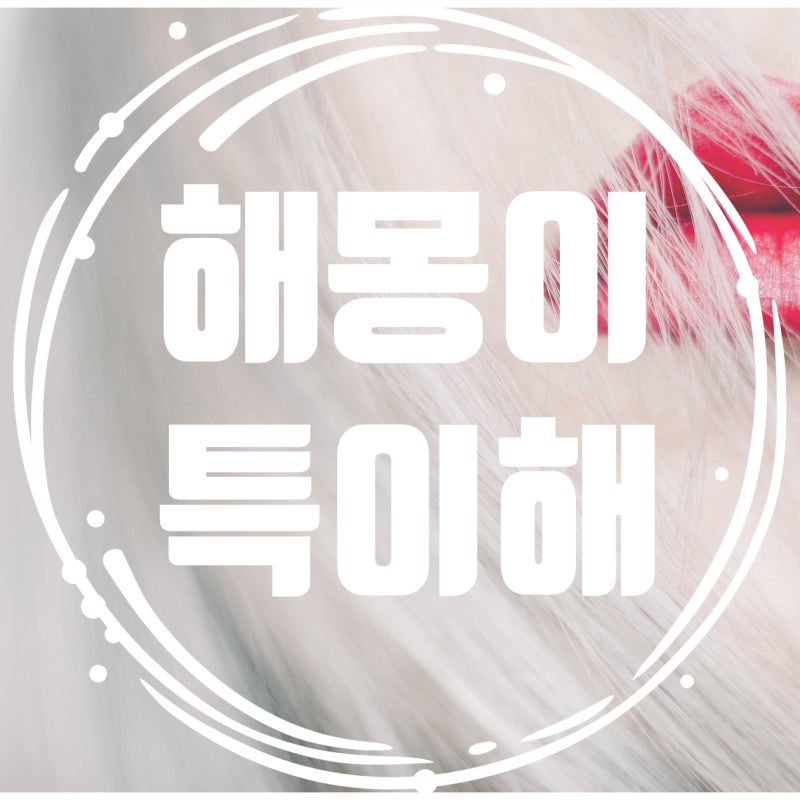 새치 꿈해몽 흰머리 이런 상황이라면