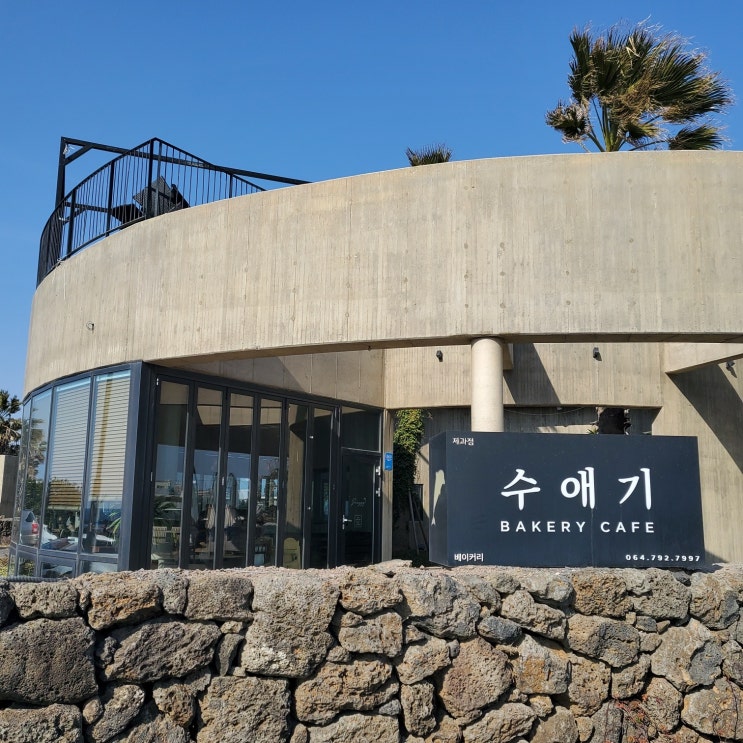  제주 최애 힐링장소 수애기 베이커리/ 물꼬락 생갈치/ 산방식당/새별오름